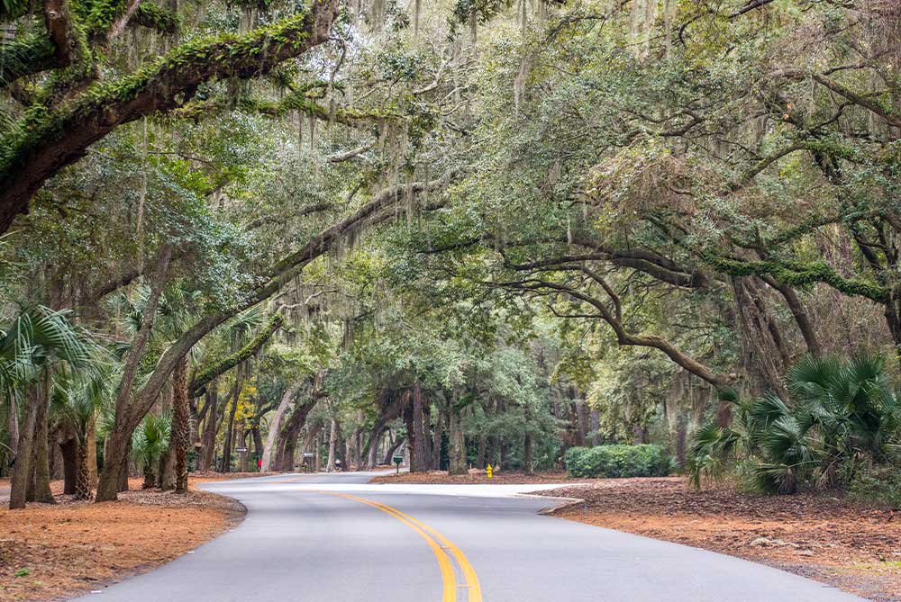 Hilton Head Beaufort SC Social Security Disability Office